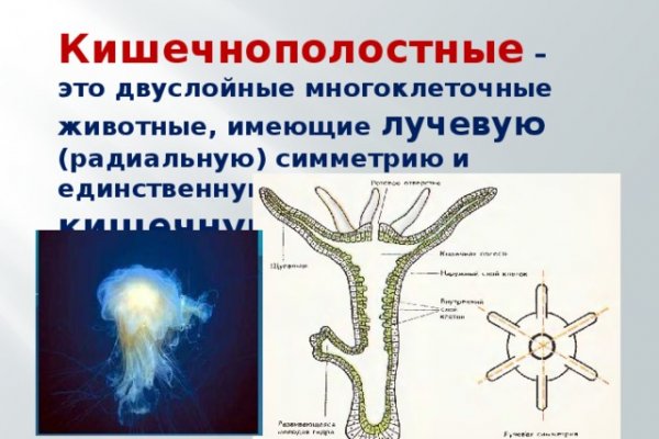 Что такое кракен маркет