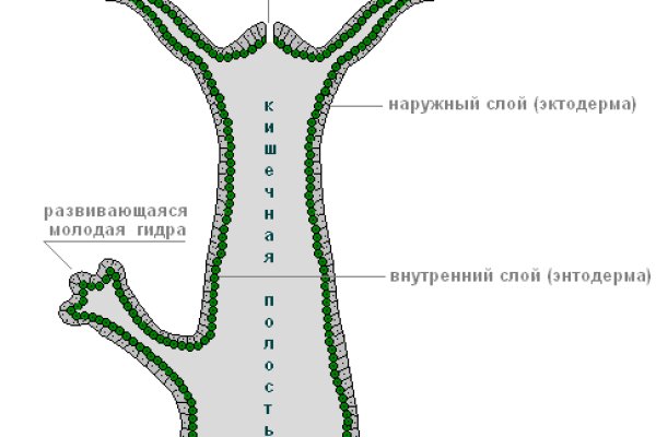 Кракен ссылка орион