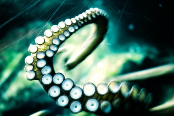 Kraken 25at
