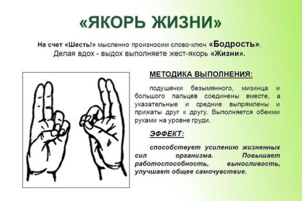 Кракен шоп даркнет
