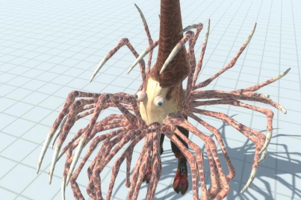 Kraken onion ссылка