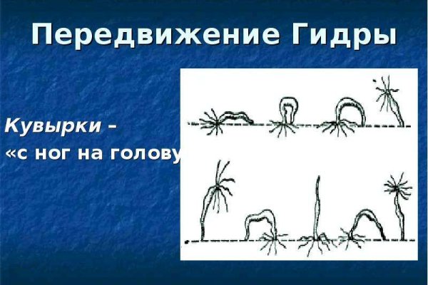 Кракен маркетплейс официальный сайт
