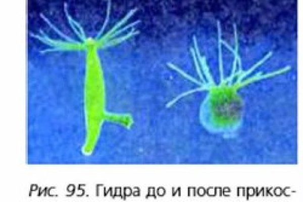 Кракен сайт что это